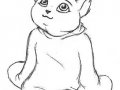 KoalaKitty.jpg
